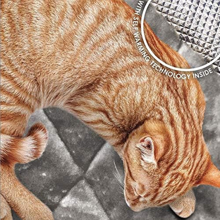 Self-Warming Pet Bed