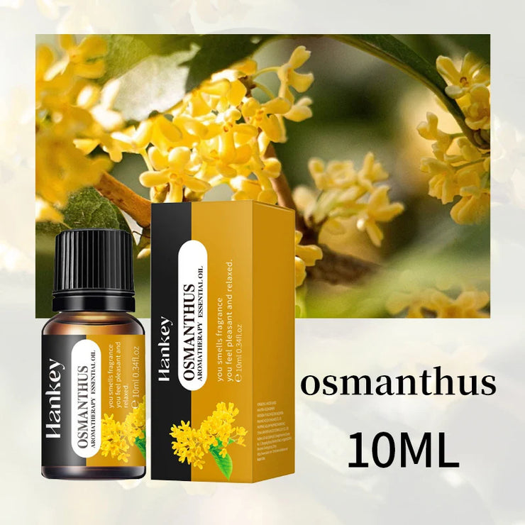 10ml Essential Fragrance Oil Vanilla Lavender