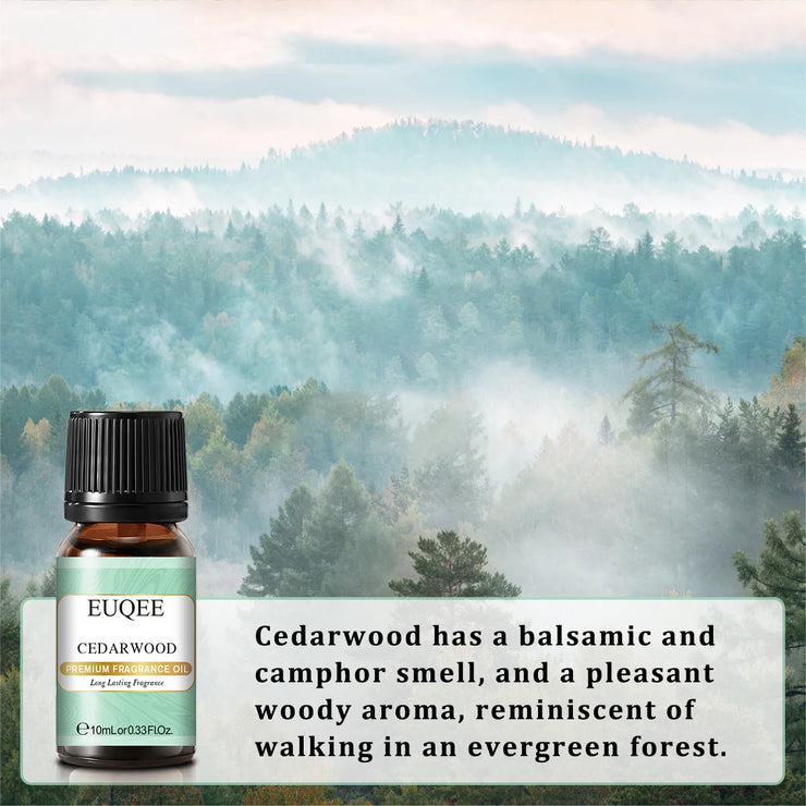 10ml Premium Lilac Coconut Fragrance Oil
