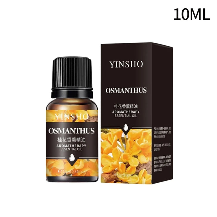 10ml Essential Fragrance Oil Vanilla Lavender